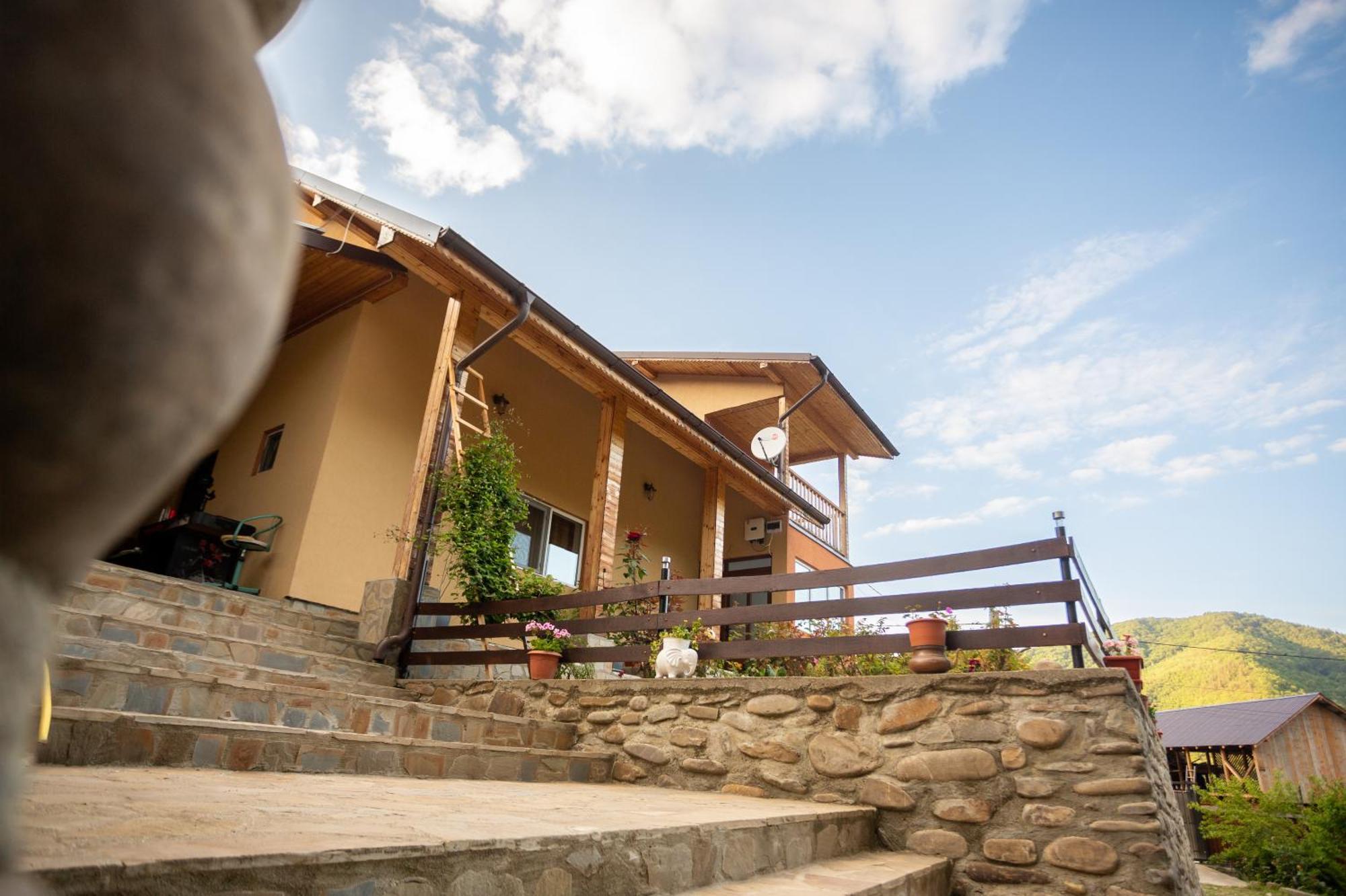 Casa Rumelia Paltineni Luaran gambar