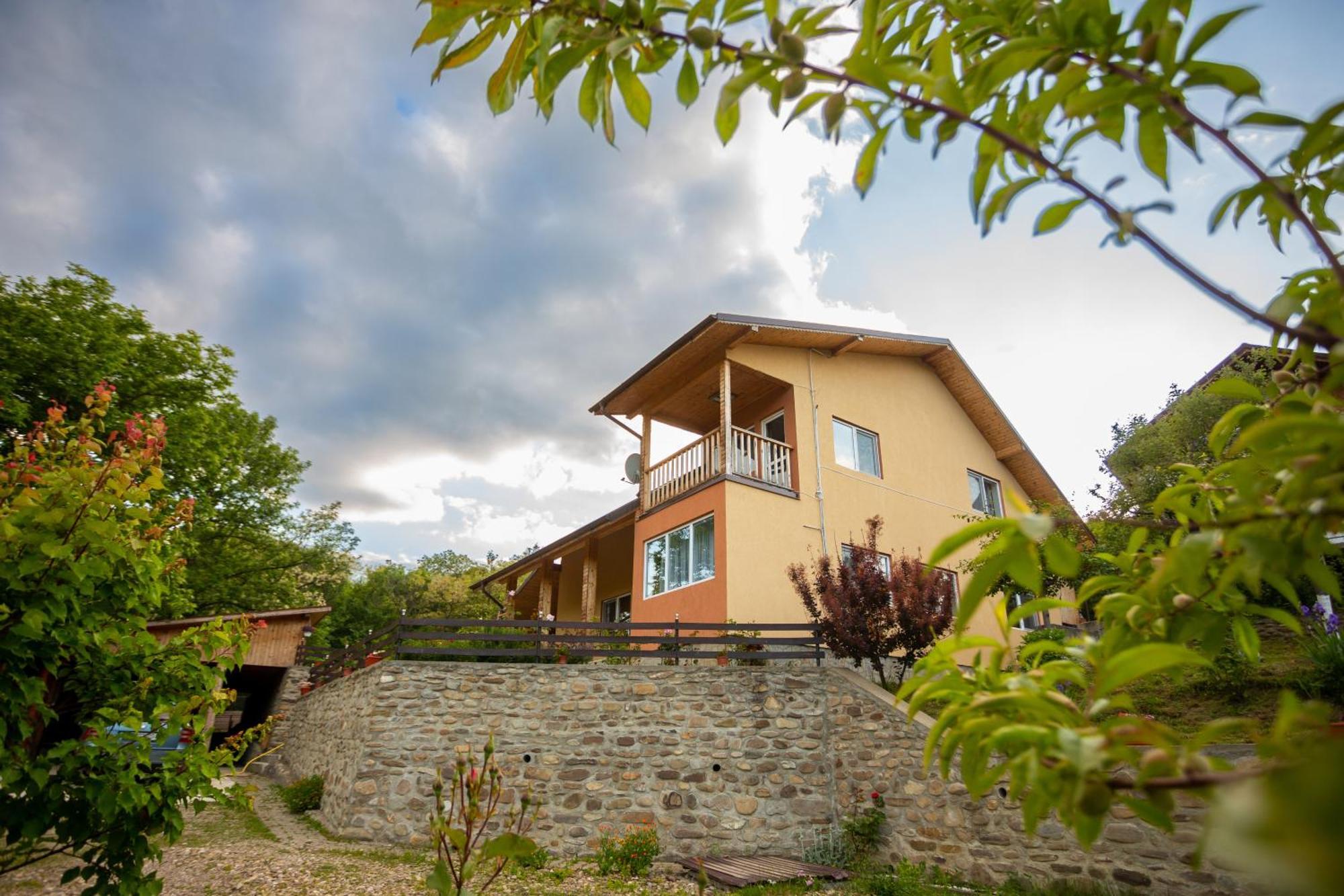 Casa Rumelia Paltineni Luaran gambar