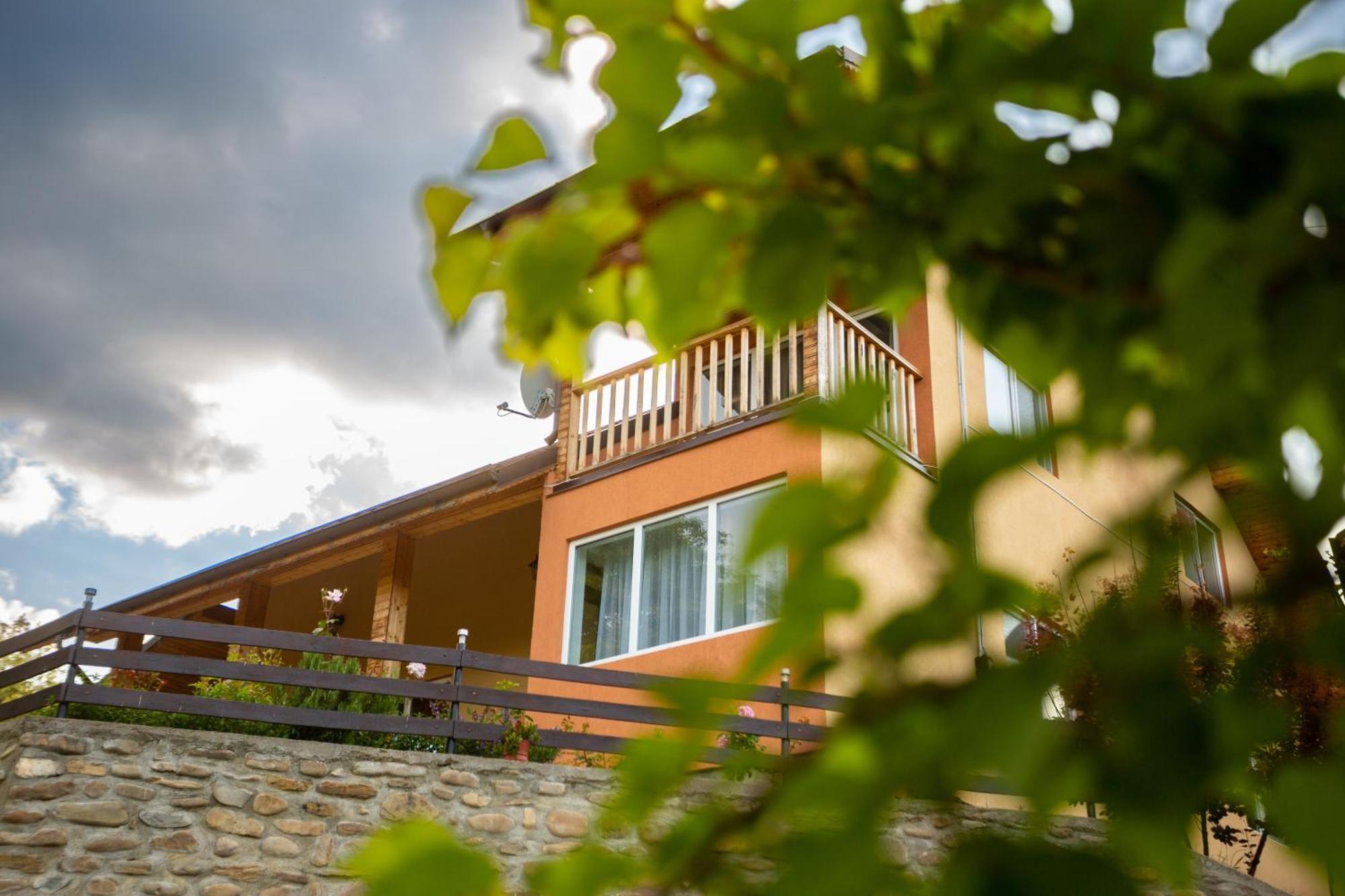 Casa Rumelia Paltineni Luaran gambar