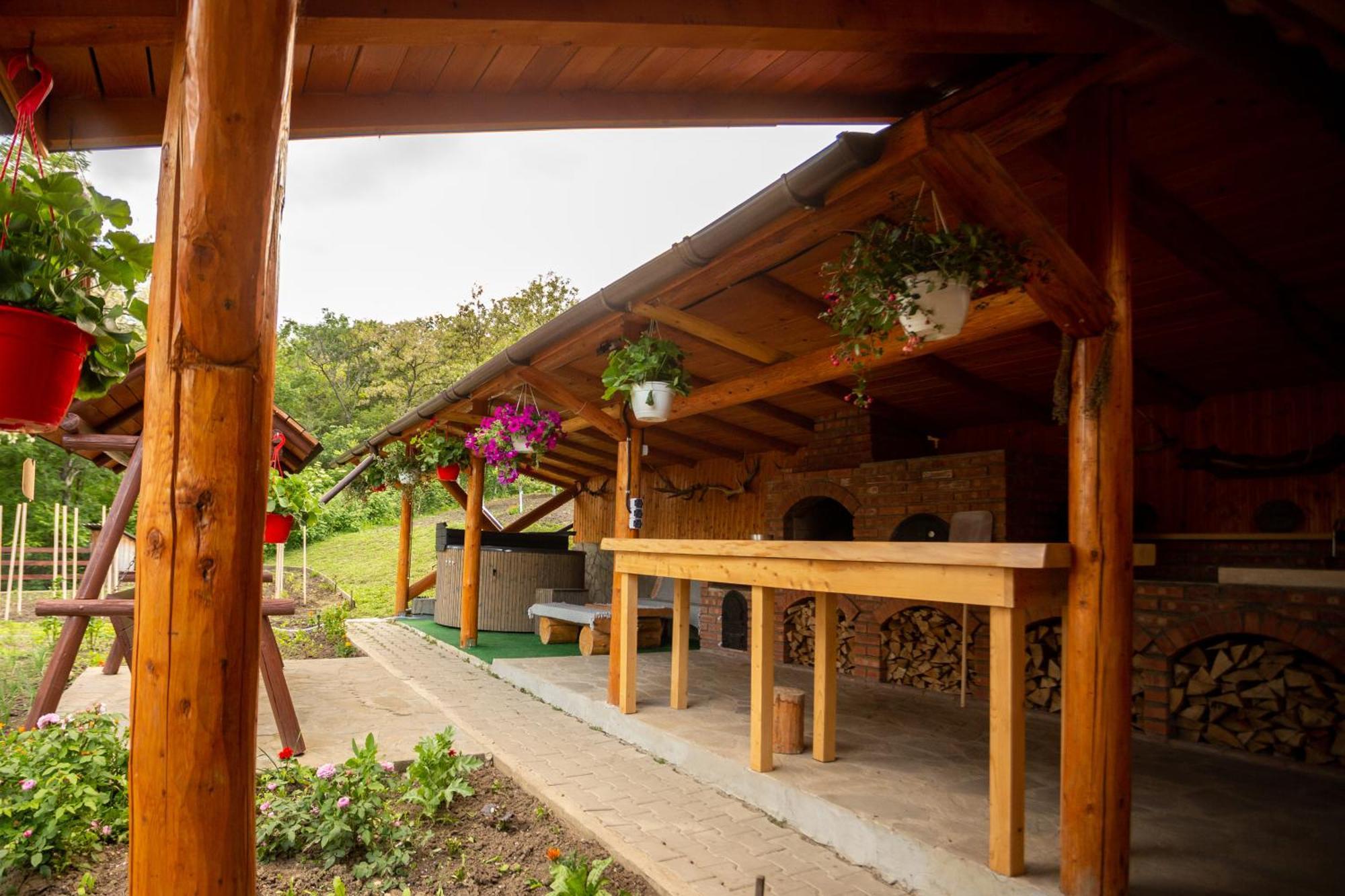 Casa Rumelia Paltineni Luaran gambar