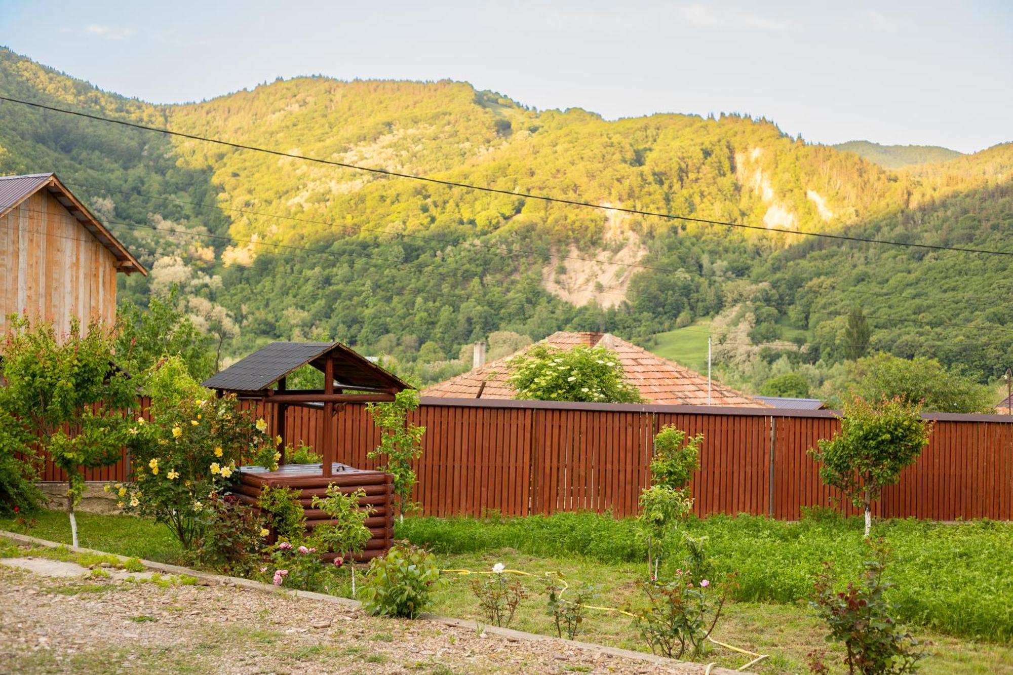 Casa Rumelia Paltineni Luaran gambar